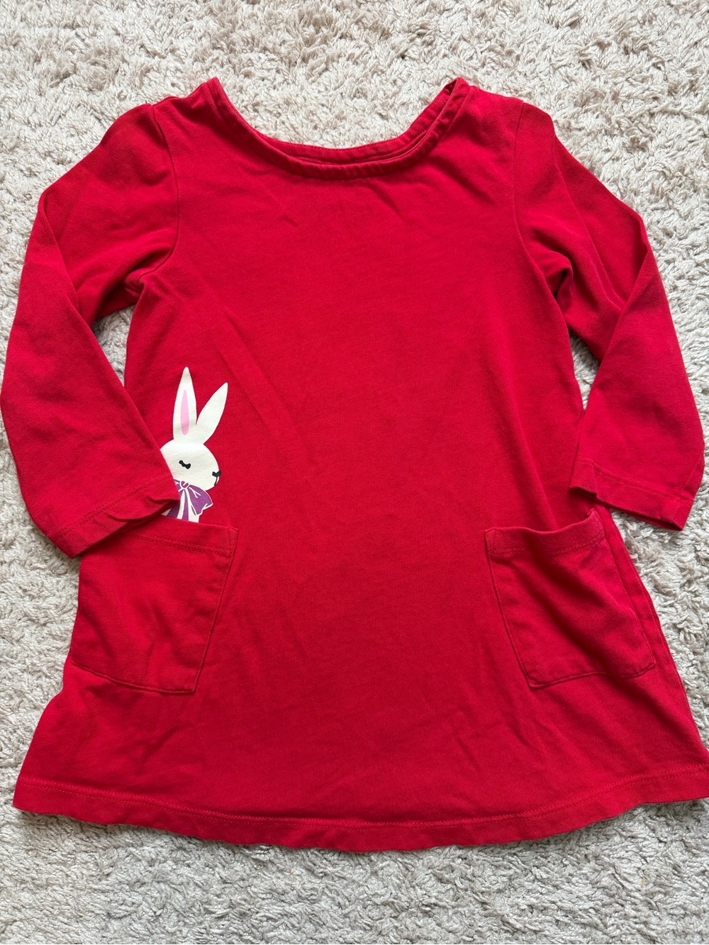 Hanna Andersson Red Bunny Pocket Art Dress